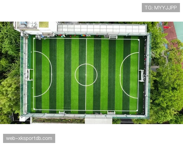 规则拆解型：职业足球比赛对草坪场地有哪些硬性标准？