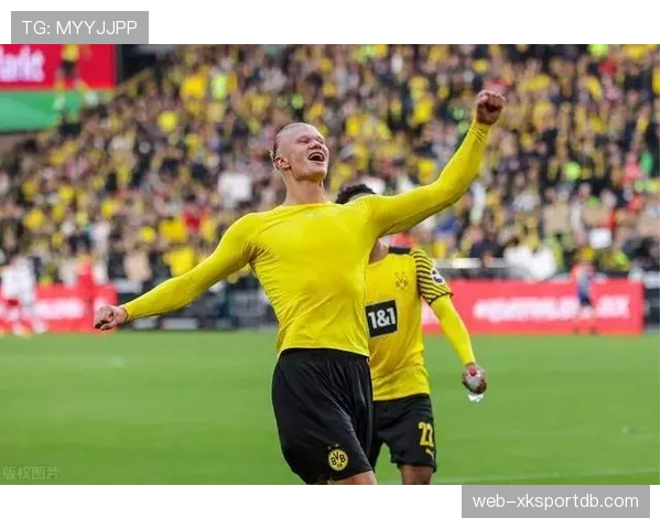 凯恩与哈兰德：中锋全能性与终结专精的核心差异解析